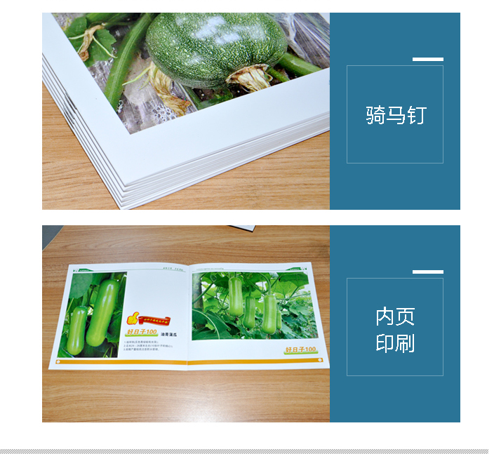 豪彩佳印 豪彩佳印