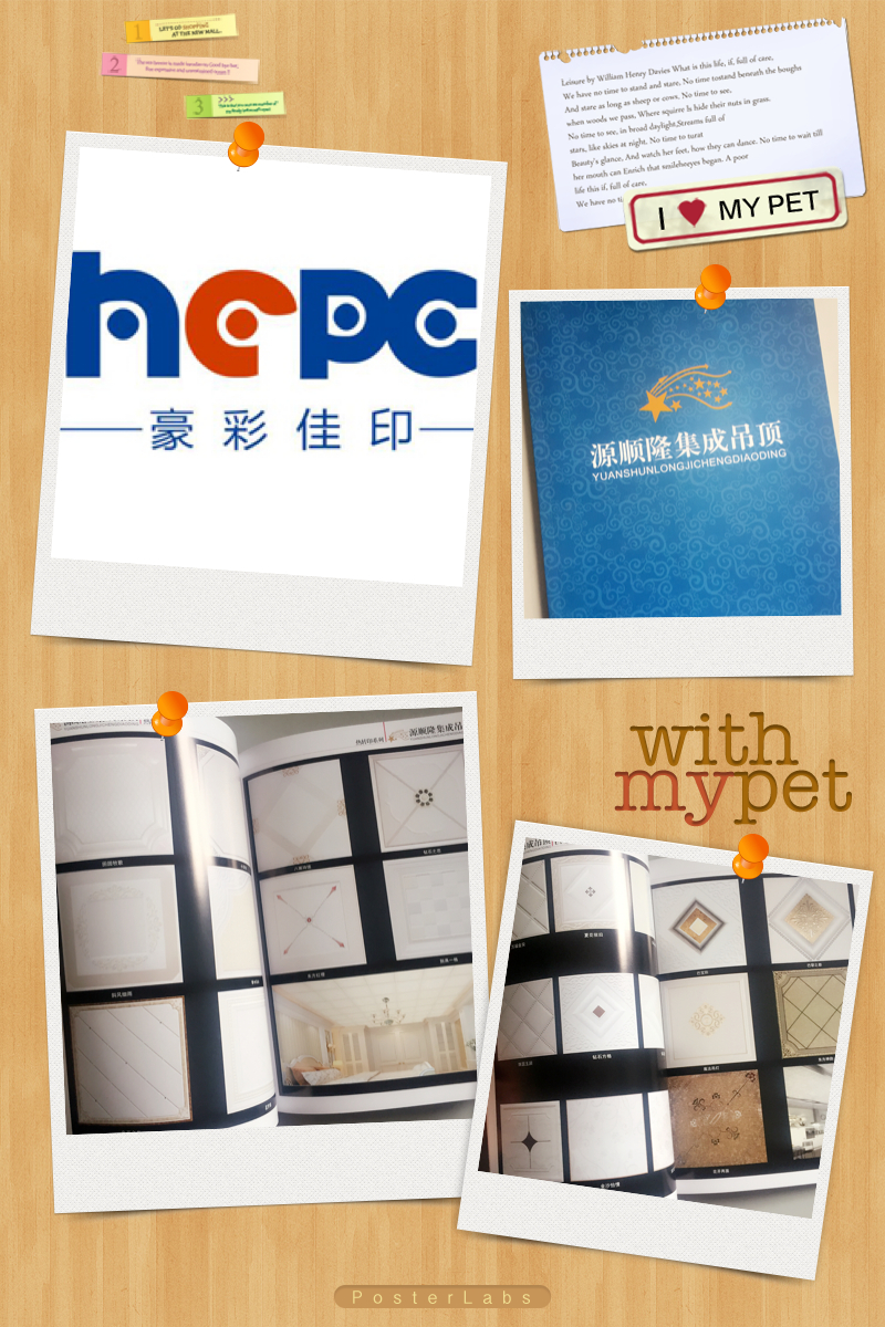 吊頂畫冊(cè)印刷