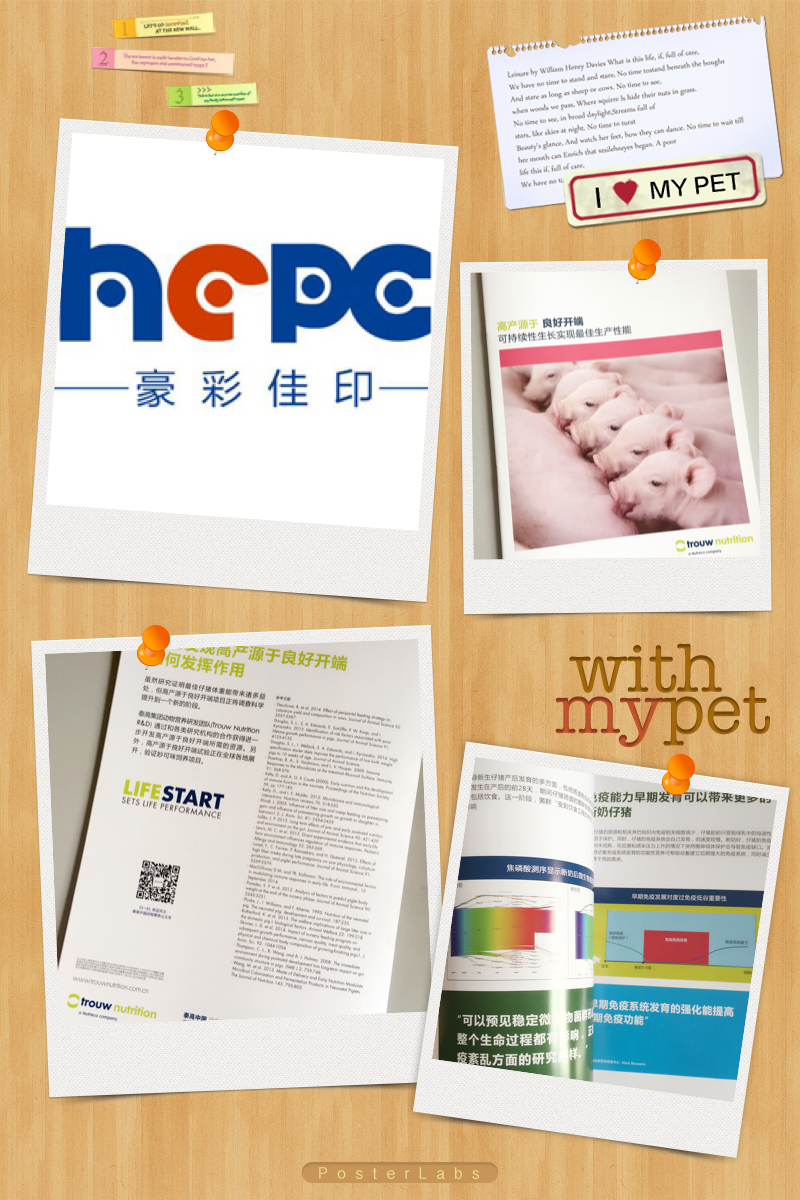 畫(huà)冊(cè)印刷廠家