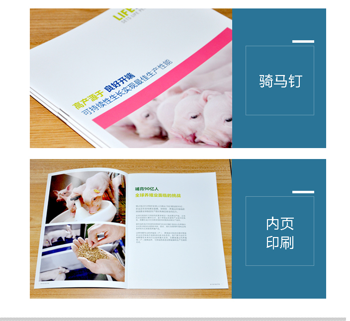 北京泰高營(yíng)養(yǎng)科技有限公司 北京泰高營(yíng)養(yǎng)科技有限公司